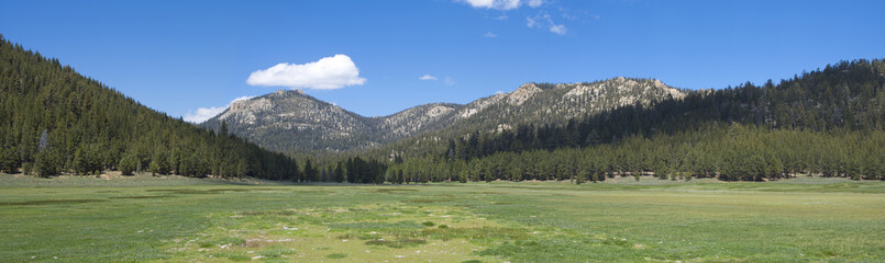 Fototapeta na wymiar Mountain meadow panoramic