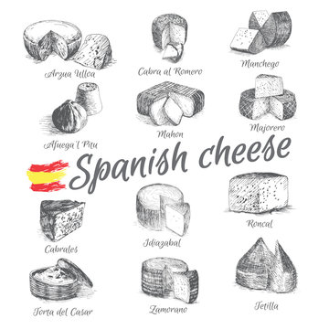 Vector illustrated Set #4 of Spanish Cheese Menu. Illustrative sorts of cheese from Spain