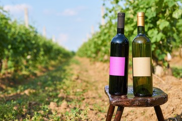 Two bottles of vine in vineyard.