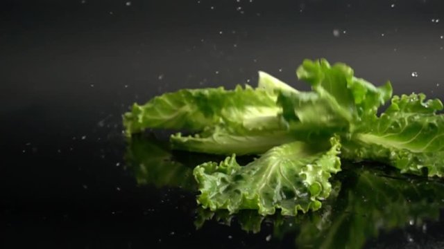 wet lettuce leaves falling on black background in slow motion