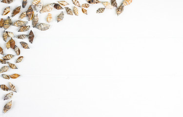 Sea shells frame on  wooden background