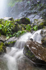 Obraz premium Anse des cascades, ile de la Réunion