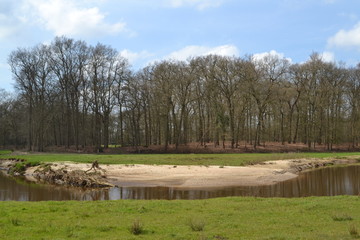 nieuwe natuur bij de rivier de Regge