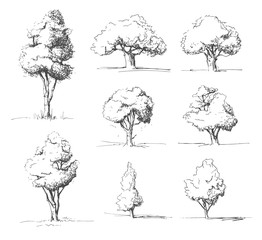 Tree sketches set