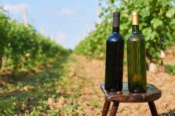 Two bottles of vine in vineyard.