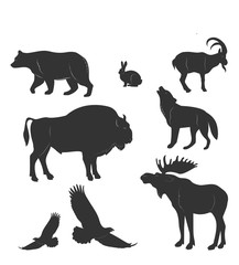 set of animals,wild beasts, vactor