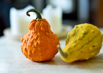 decorative pumpkins background with copy space