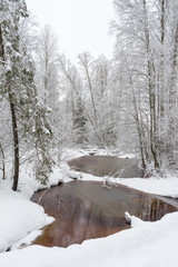 Winter view on river valley with clearings and snow-covered trees on riverside. Rekon'skaya Hermitage, Novgorodsky region, Russia 
