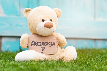 Promotion in Polish language - obrazy, fototapety, plakaty