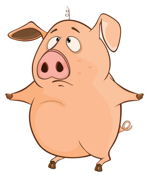 Illustration of a Cute Pig. Cartoon Character