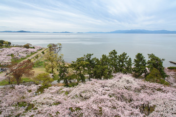 長浜城天守閣からの眺望