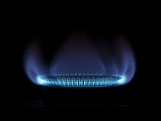 Burning gas stove on black background