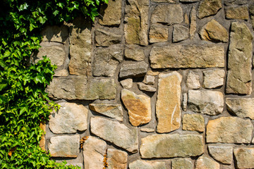 wall of sandstone blocks overgrown with ivy 9