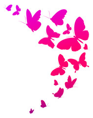 butterflies design
