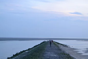 Fototapeten pier aan de Franse kust met mensen die naar zeehonden kijken © henkbouwers