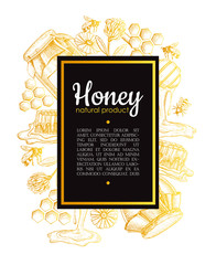 Vector hand drawn honey frame. Detailed engraved honey illustrat