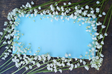 Blue background with white flowers