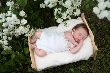 Horizontal picture of newborn baby outside in the grass in the blossoming garden.
