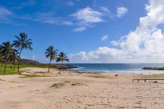 The Anakena Beach in Easter Island, Chile