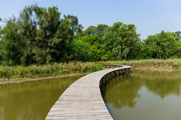 Naklejka premium Long wood bridge in mangrove forest