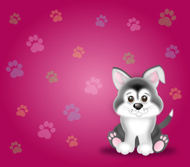 Cute puppy on pink background
