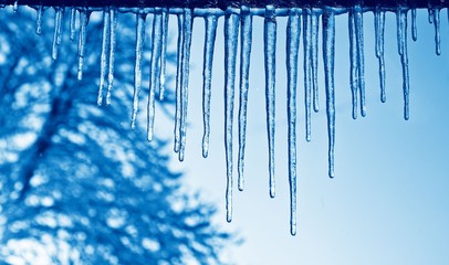 Close up view of the some icicles with a blue duo-tone effect