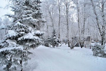 Winter Siberian city park, Omsk region