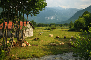 Lonely hut in the beautiful mountain landscape in Montenegro