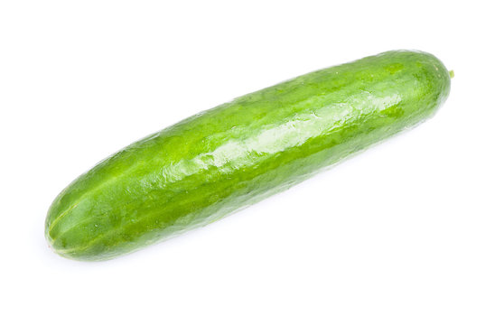 Ripe sweet green cucumber