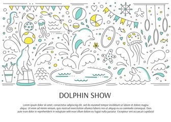 Dolphin show banner