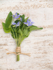 Blue viola flowers bouquet tied with jute rope