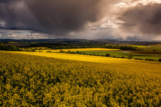 Colorful agriculutre field background on cloudly day