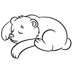 Coloring pages. Wild animals. Little cute baby bear sleeps.