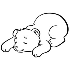 Coloring pages. Wild animals. Little cute baby bear sleeps.