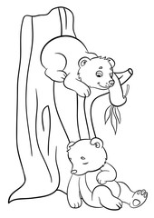 Coloring pages. Wild animals. Two little cute baby bears.