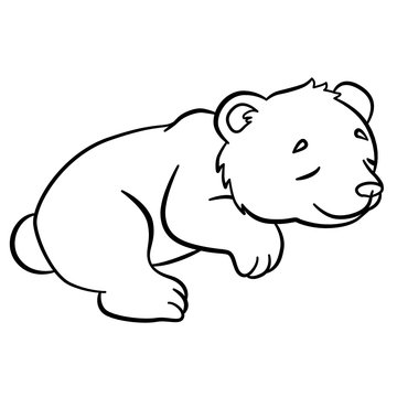 Coloring pages. Wild animals. Little cute baby bear sleeps.