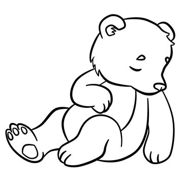 Coloring pages. Wild animals. Little cute baby bear sleeps.