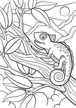 Coloring pages. Wild animals. Little cute chameleon sits on the tree branch.