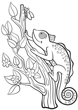 Coloring pages. Wild animals. Little cute chameleon looks at the fly.