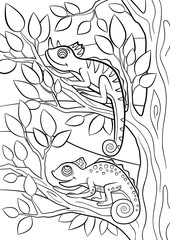 Coloring pages. Wild animals. Two little cute chameleon.