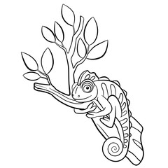 Coloring pages. Wild animals. Little cute chameleon sits on the tree branch and smiles.
