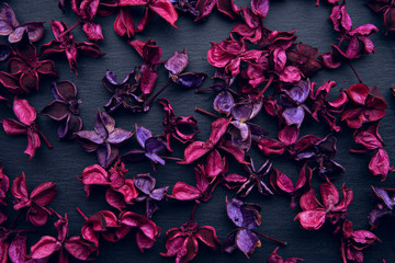 burgundy and purple dry flowers