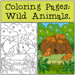 Coloring Pages: Wild Animals. Daddy bear with his little cute baby bears.