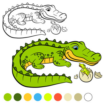 Coloring page. Color me: alligator. Mother alligator with her little cute baby alligator in the egg.
