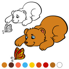 Coloring page. Color me: bear. Little cute baby bear.