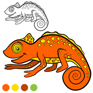 Coloring page. Color me: chameleon. Little cute orange chameleon