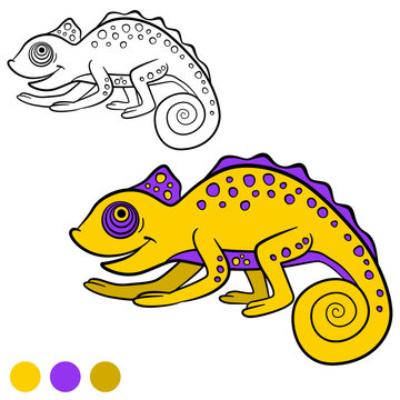 Coloring page. Color me: chameleon. Little cute chameleon.