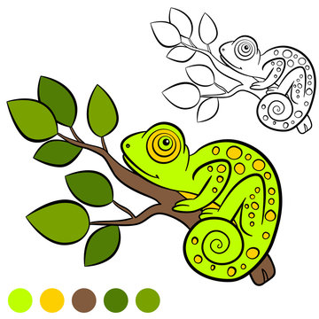 Coloring page. Color me: chameleon. Little cute chameleon sits on the tree branch.