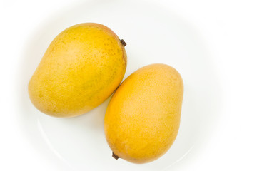 Ripe golden mangoes on white
