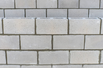 Masonry walls of the foam block.